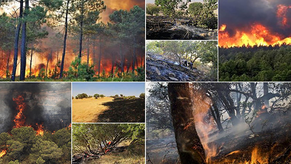 آتش‌سوزی جنگل‌های زاگرس