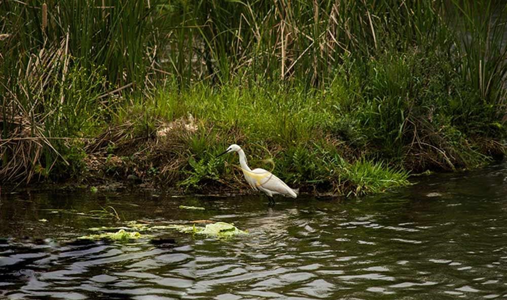 تصویری از تالاب توپراق کندی