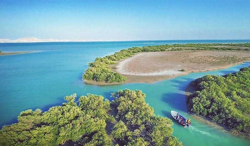  تصویری از جنگل‌های حرای ایران