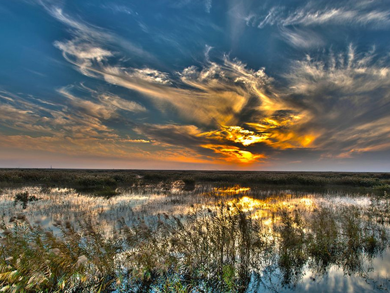  تصویری از تالاب هورالعظیم