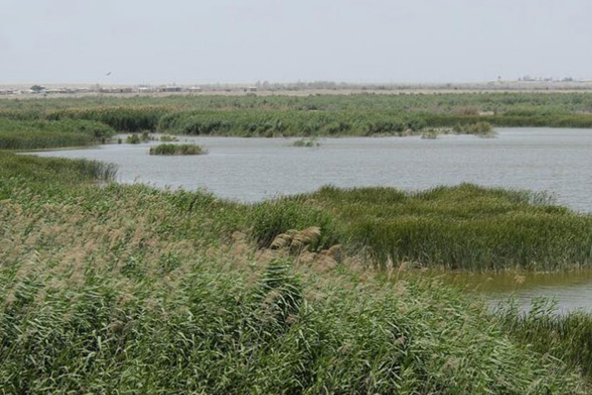 تصویری از تالاب آلماگل