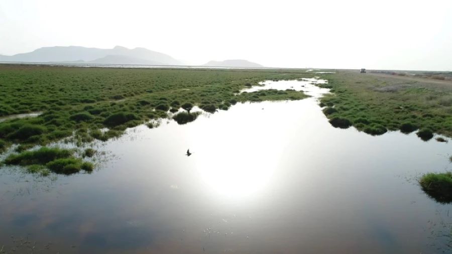 تصویری از تالاب بینالمللی کمجان