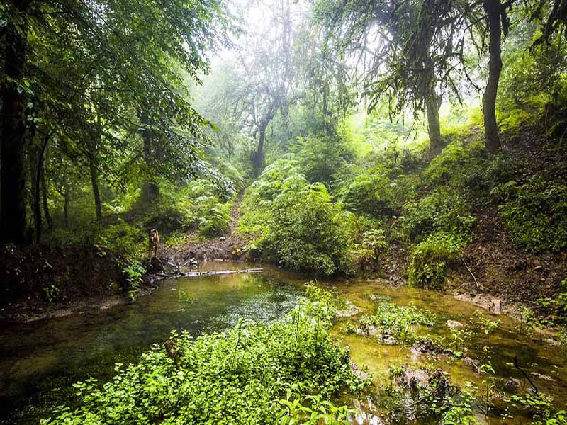  تصویری از پارک ملی گلستان