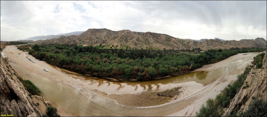 تصویری از جنگل گلوبردکان