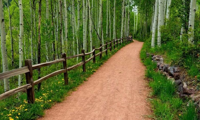  تصویری از بوستان جنگلی سی‌سنگان