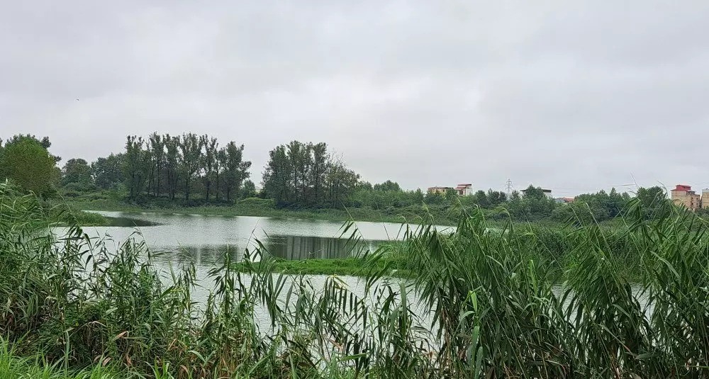  تصویری از تالاب عینک